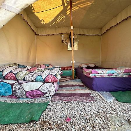 Siwa Oasis Muhra Camp Siwa酒店 外观 照片