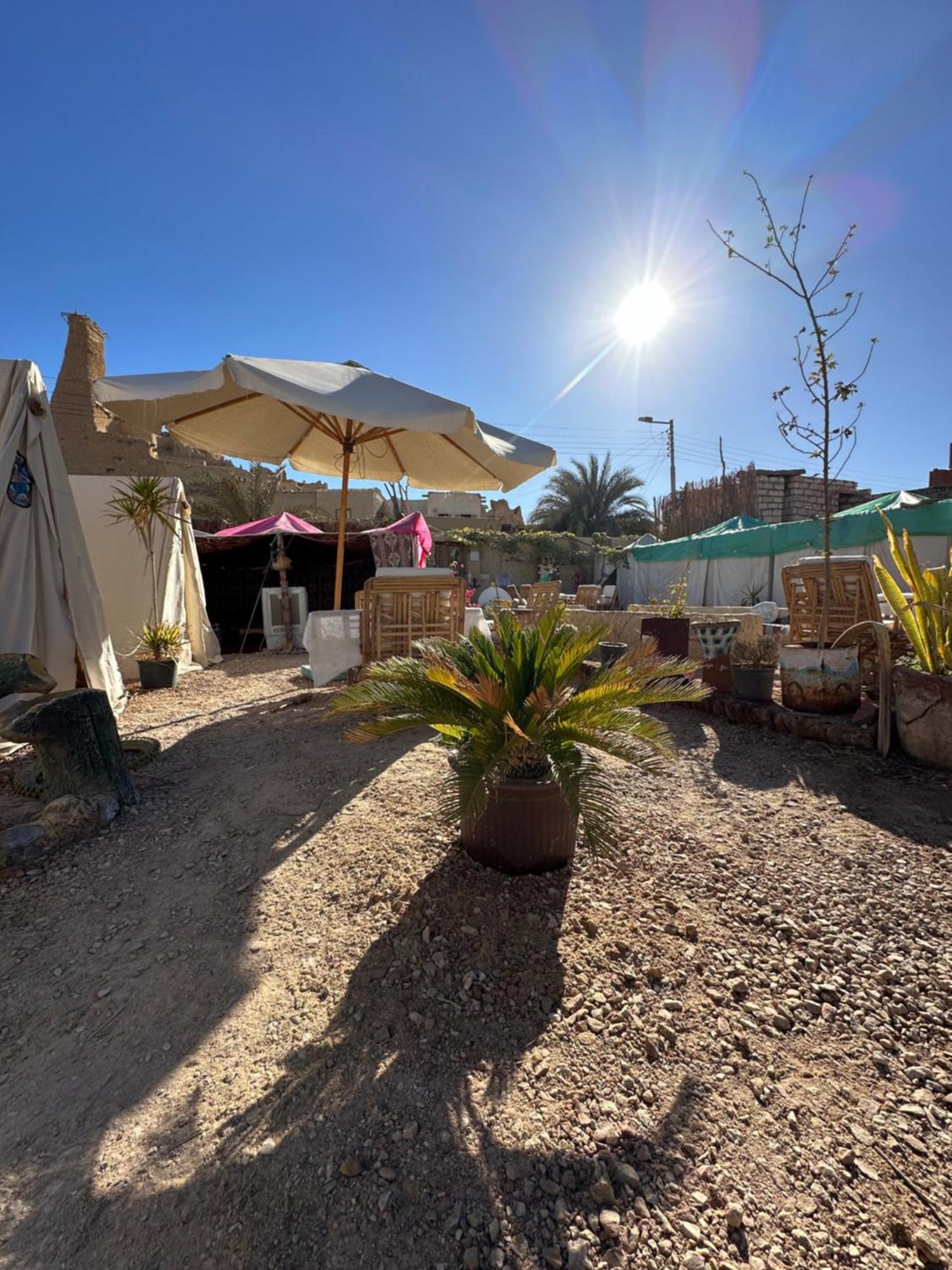 Siwa Oasis Muhra Camp Siwa酒店 外观 照片