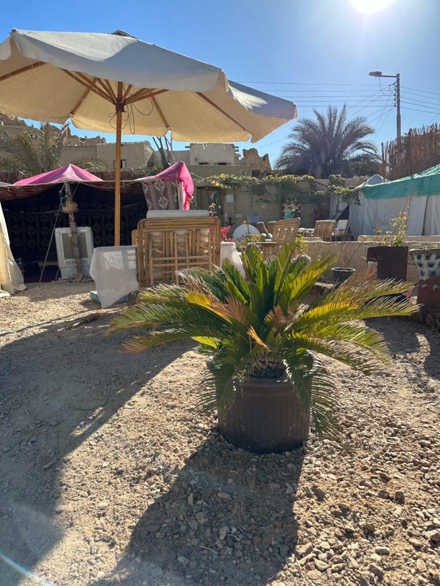 Siwa Oasis Muhra Camp Siwa酒店 外观 照片