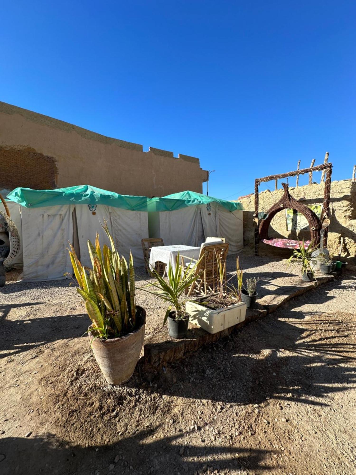 Siwa Oasis Muhra Camp Siwa酒店 外观 照片