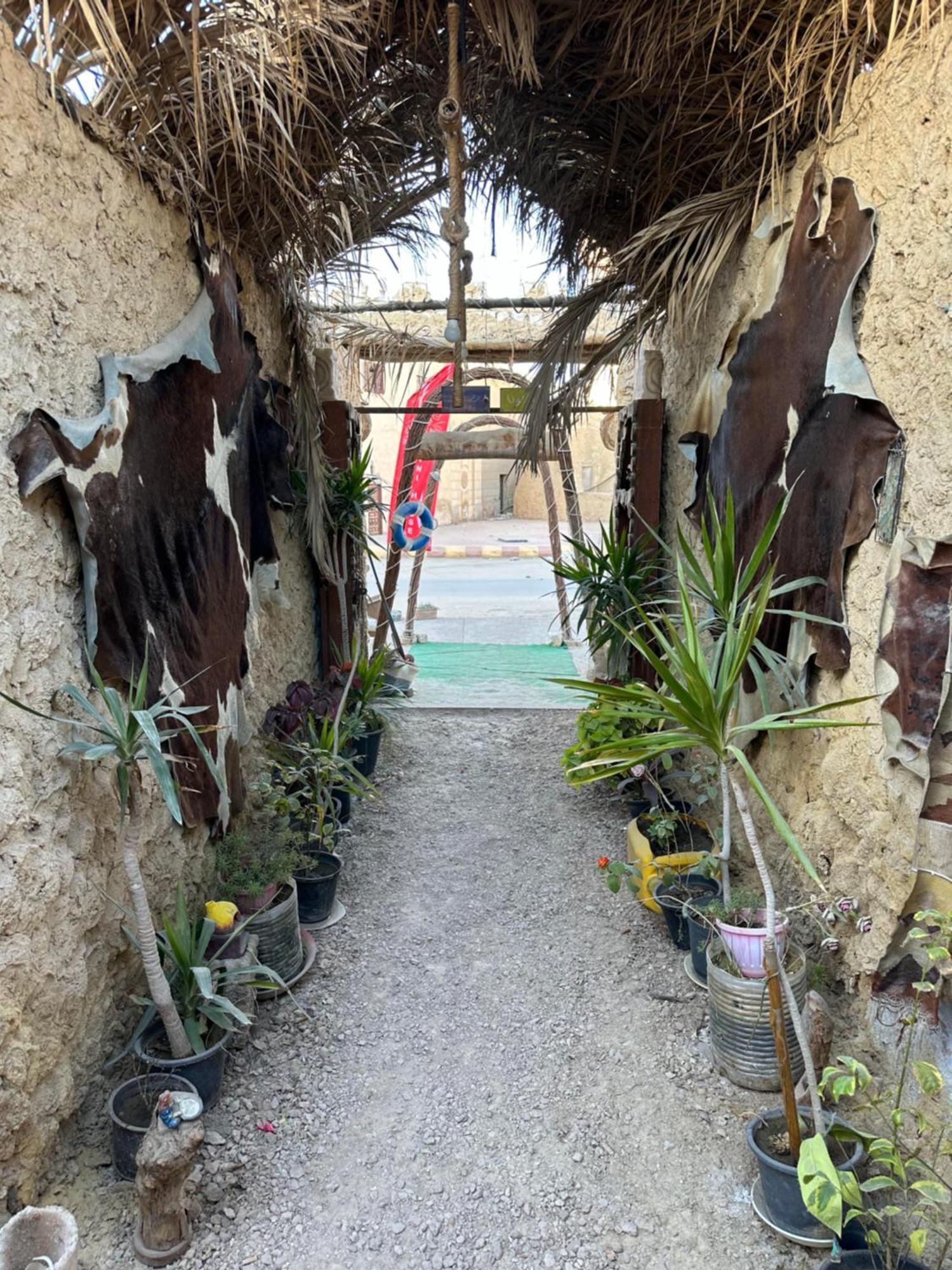 Siwa Oasis Muhra Camp Siwa酒店 外观 照片
